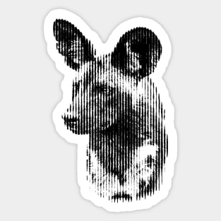 African Wild Dog in Striking Pattern of Black and White Vertical Stripes Sticker